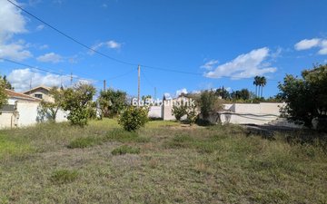 Property slide 11