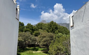 Property slide 23