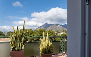 Property slide 31