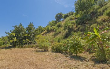 Property slide 21