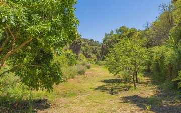 Property slide 39