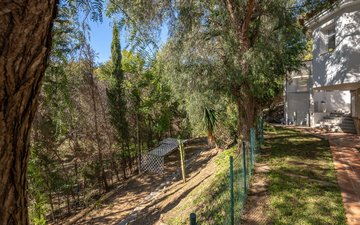Property slide 43