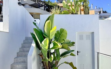 Property slide 37