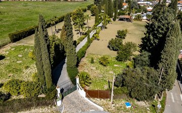Property slide 49