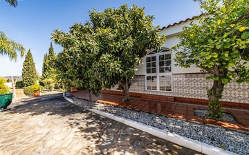 Property slide 64
