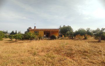 Property slide 16