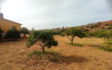 Property slide 18