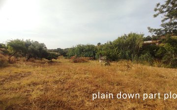 Property slide 20