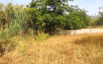 Property slide 24