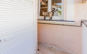 Property slide 46