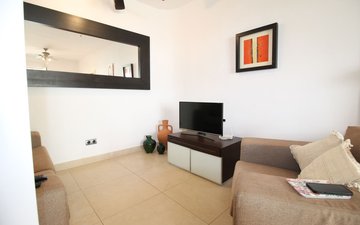 Property slide 13