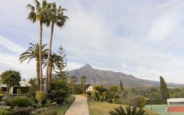 Property slide 41