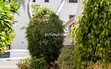 Property slide 32