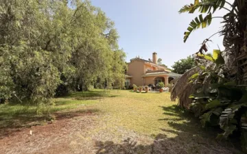 Property slide 21