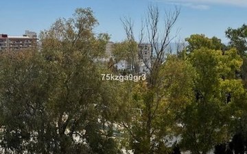 Property slide 31