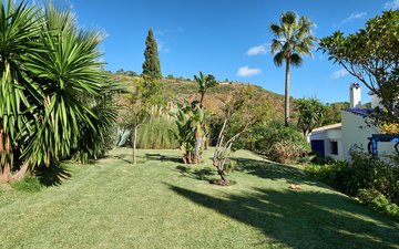 Property slide 36