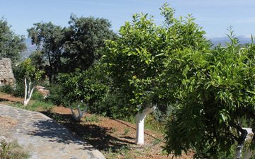 Property slide 41