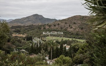 Property slide 4