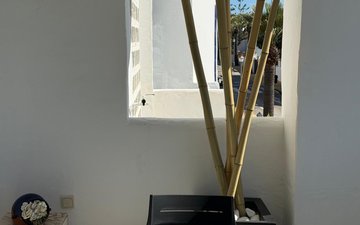 Property slide 24
