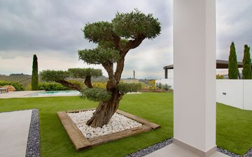 Property slide 6