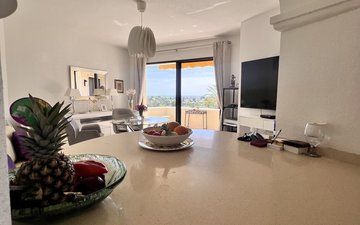 Property slide 11