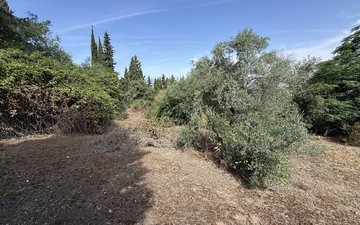 Property slide 21