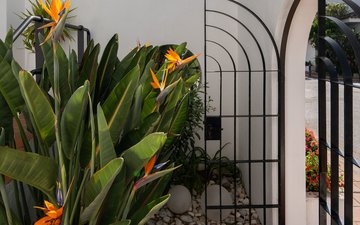 Property slide 30