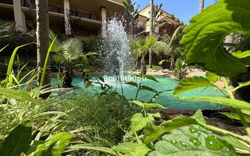Property slide 41