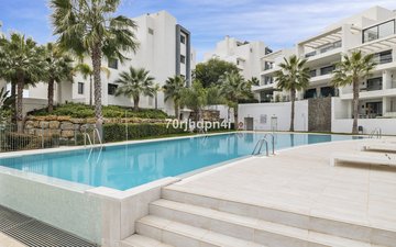Property slide 31