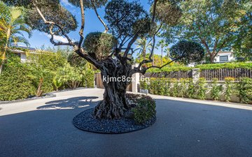 Property slide 87