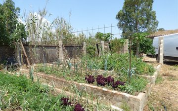 Property slide 35