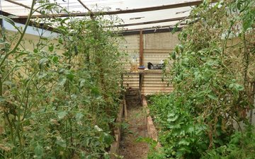 Property slide 36