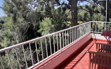 Property slide 31