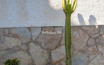 Property slide 24