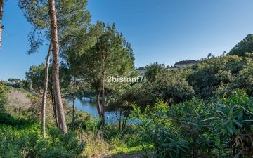 Property slide 31