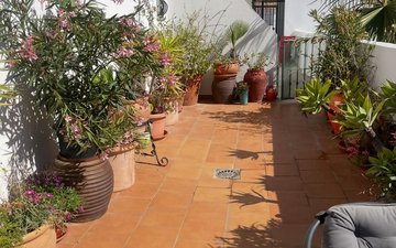 Property slide 13