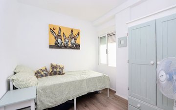 Property slide 13