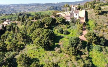 Property slide 24