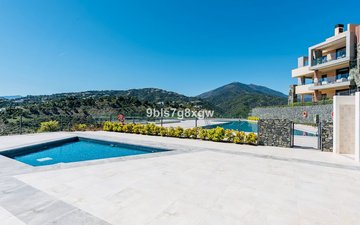 Property slide 31