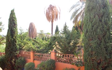 Property slide 24