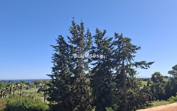 Property slide 41