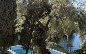 Property slide 16