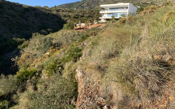Property slide 8