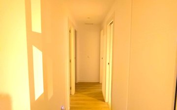 Property slide 11