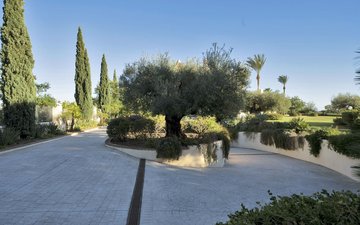 Property slide 36