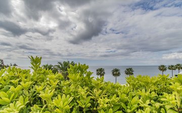 Property slide 17