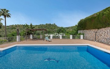 Property slide 43