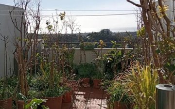 Property slide 14
