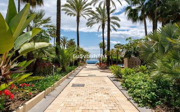 Property slide 37