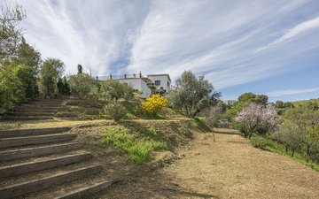 Property slide 105